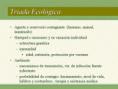 /album/fotogaleria/img003-gif/